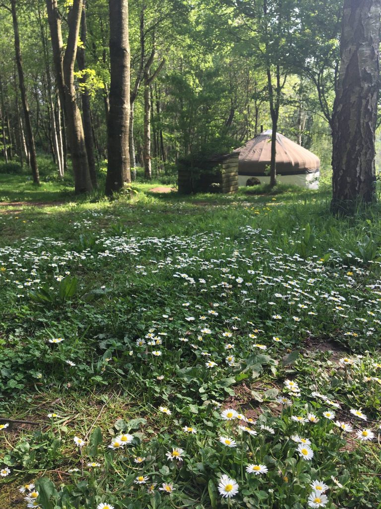Woodland Tipi & Yurt Holidays