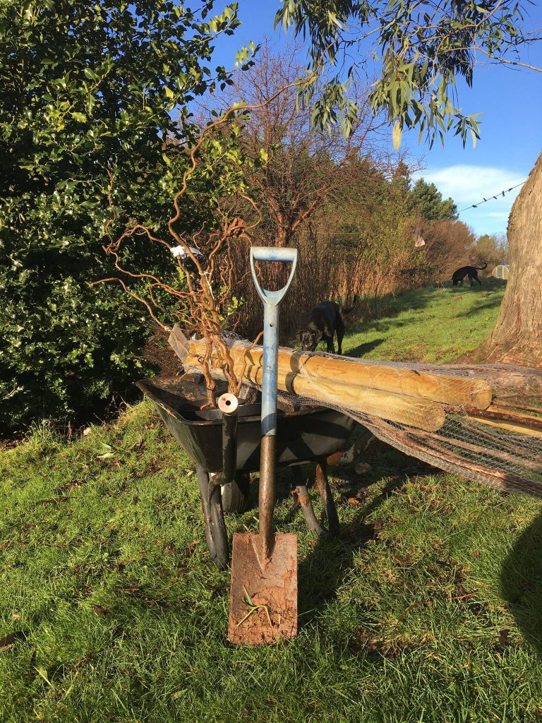 Woodland Tipi & Yurt Holidays