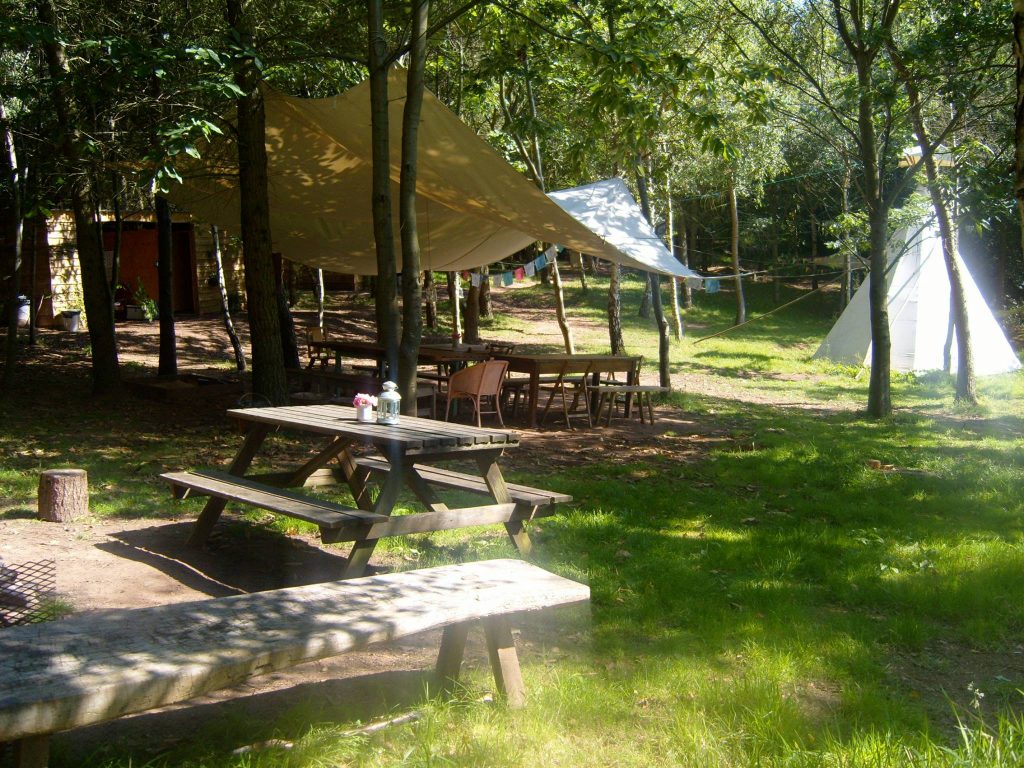 Woodland Tipi & Yurt Holidays