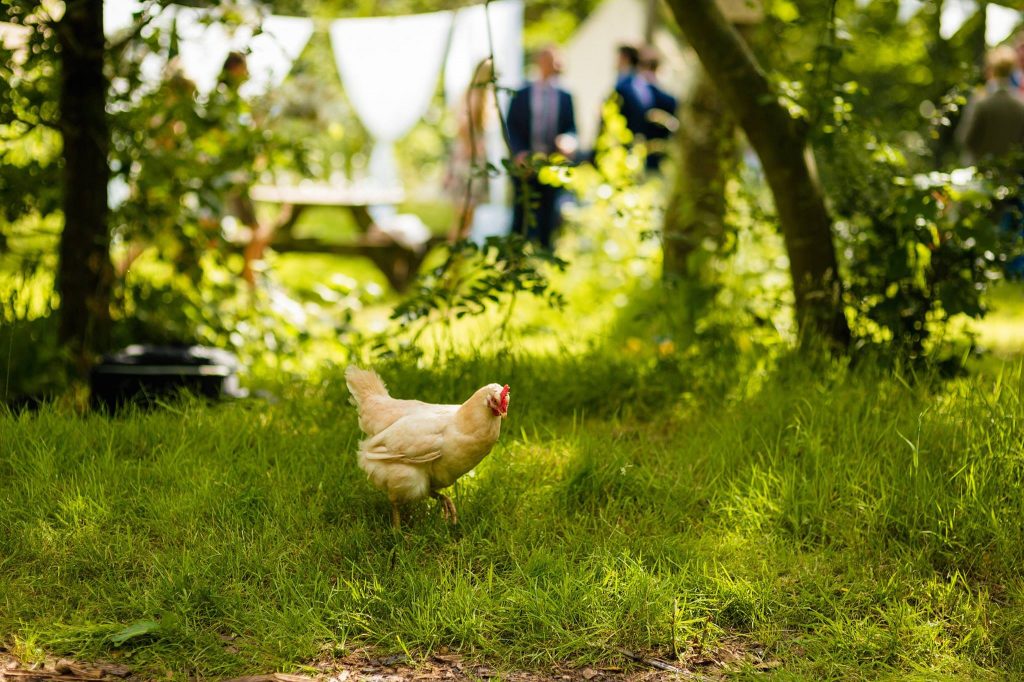 Woodland Tipi & Yurt Holidays