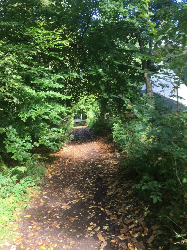 Woodland Tipi & Yurt Holidays