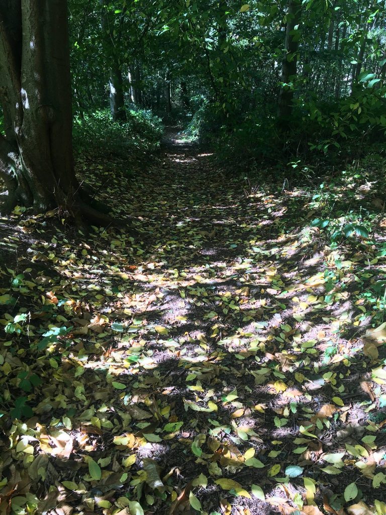 Woodland Tipi & Yurt Holidays