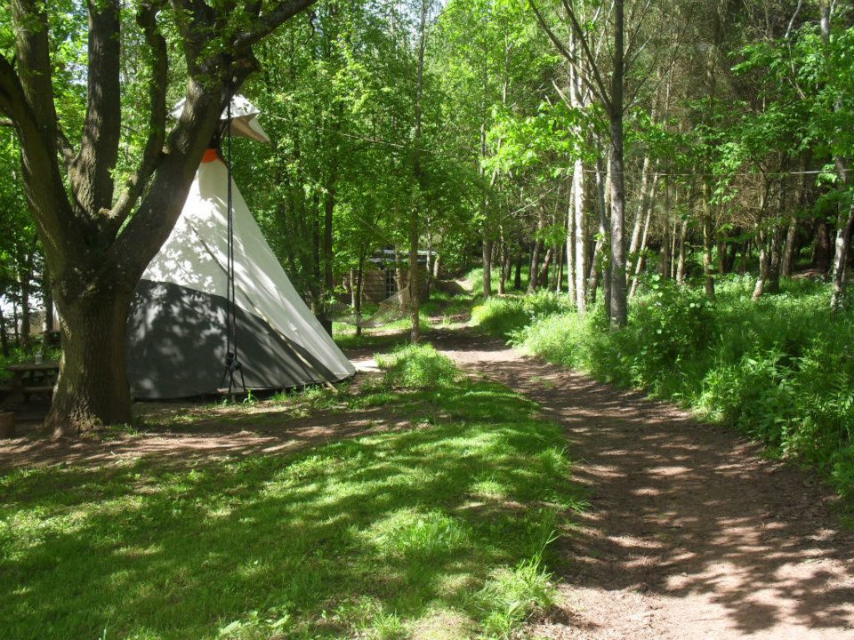 Woodland Tipi & Yurt Holidays