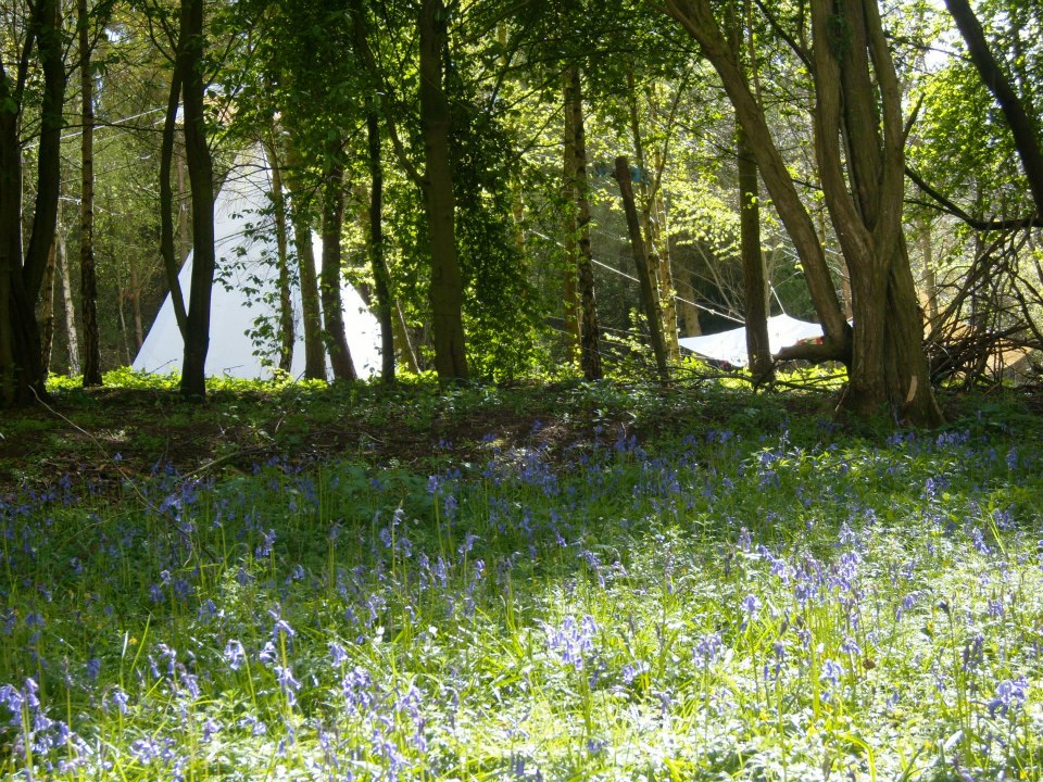 Woodland Tipi & Yurt Holidays