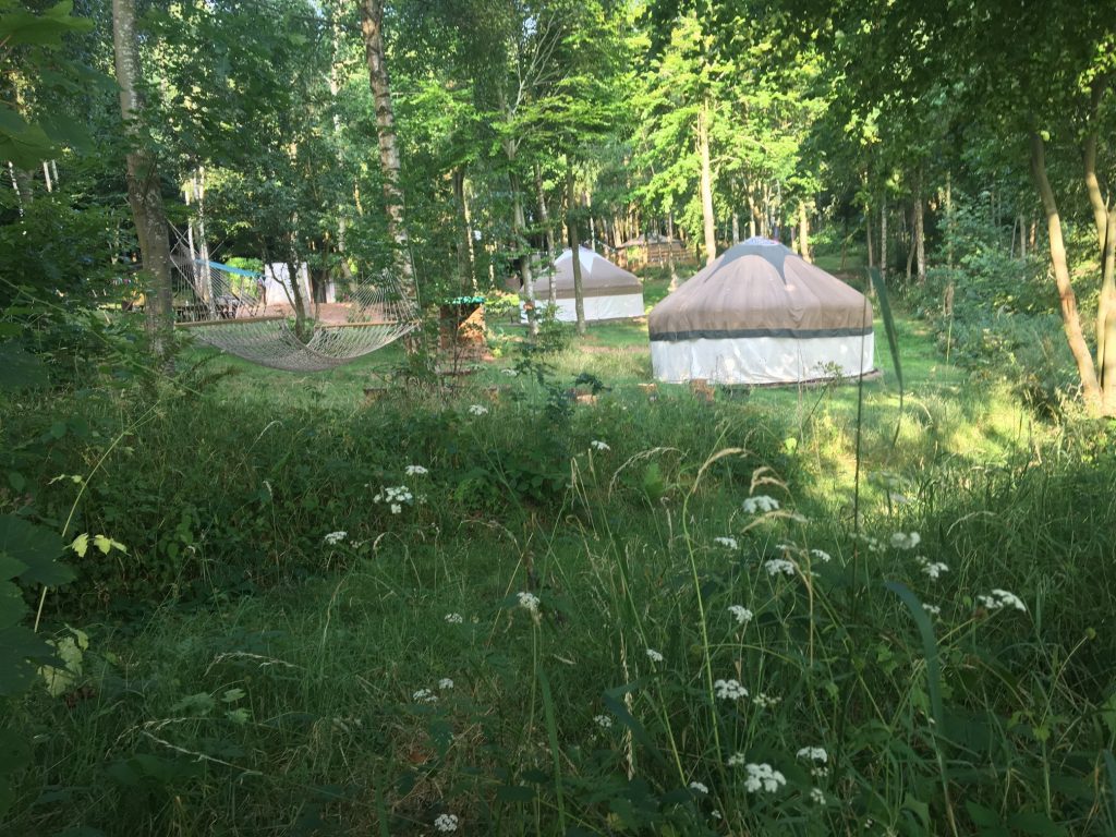 Woodland Tipi & Yurt Holidays
