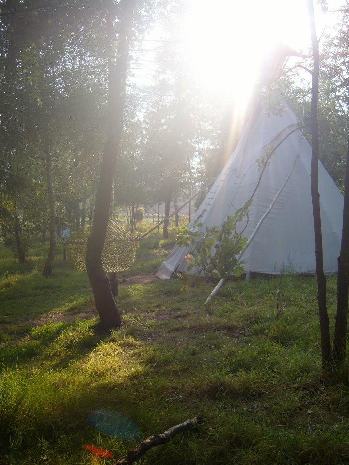 Woodland Tipi & Yurt Holidays