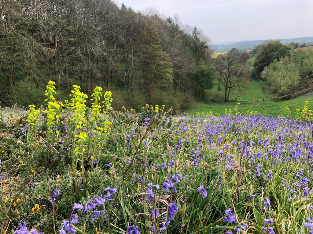 Woodland Tipi & Yurt Holidays