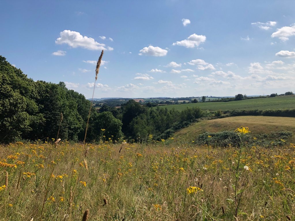 Woodland Tipi & Yurt Holidays
