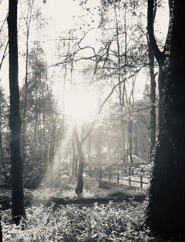 Woodland Tipi & Yurt Holidays