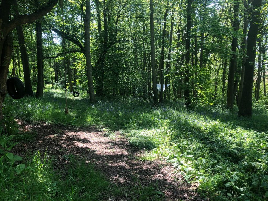 Woodland Tipi & Yurt Holidays
