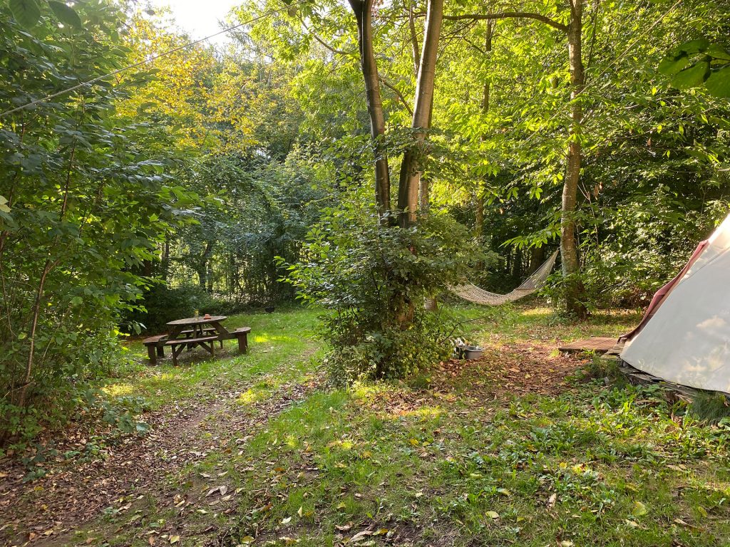 Woodland Tipi & Yurt Holidays