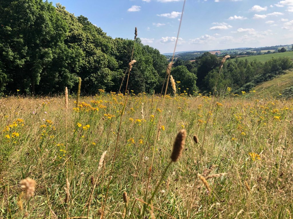 Woodland Tipi & Yurt Holidays