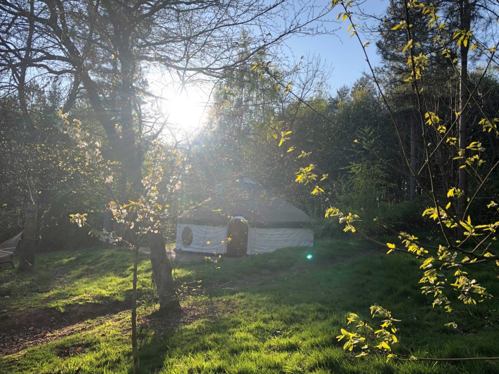 Woodland Tipi & Yurt Holidays