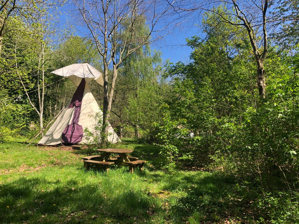 Woodland Tipi & Yurt Holidays