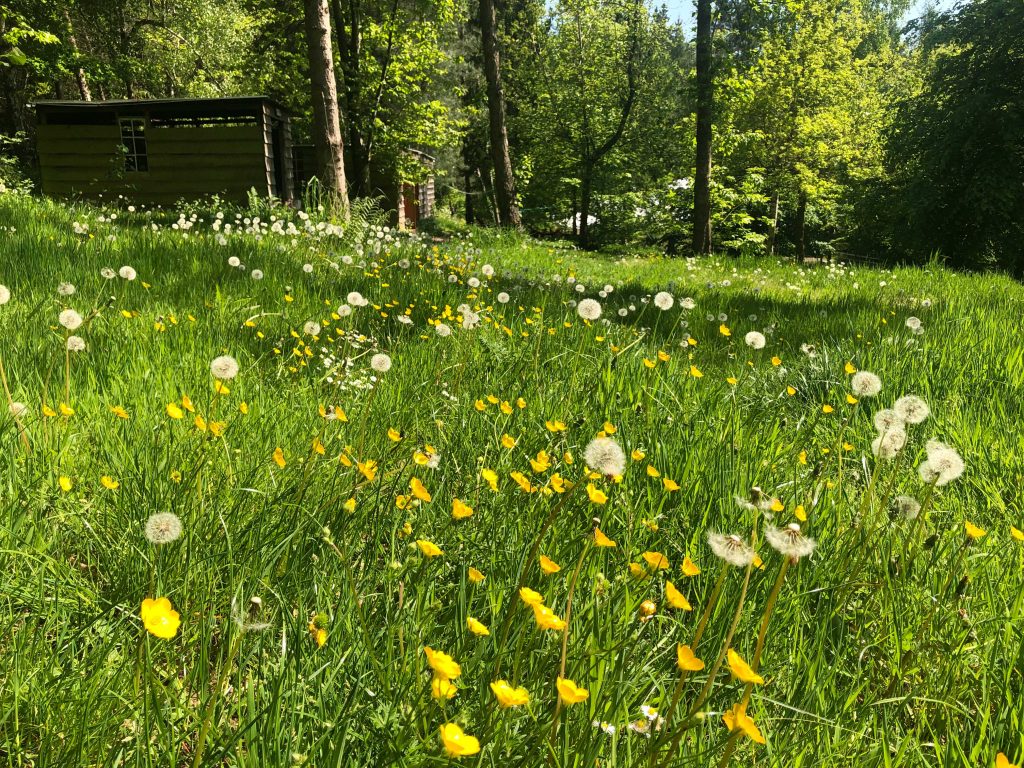 Woodland Tipi & Yurt Holidays