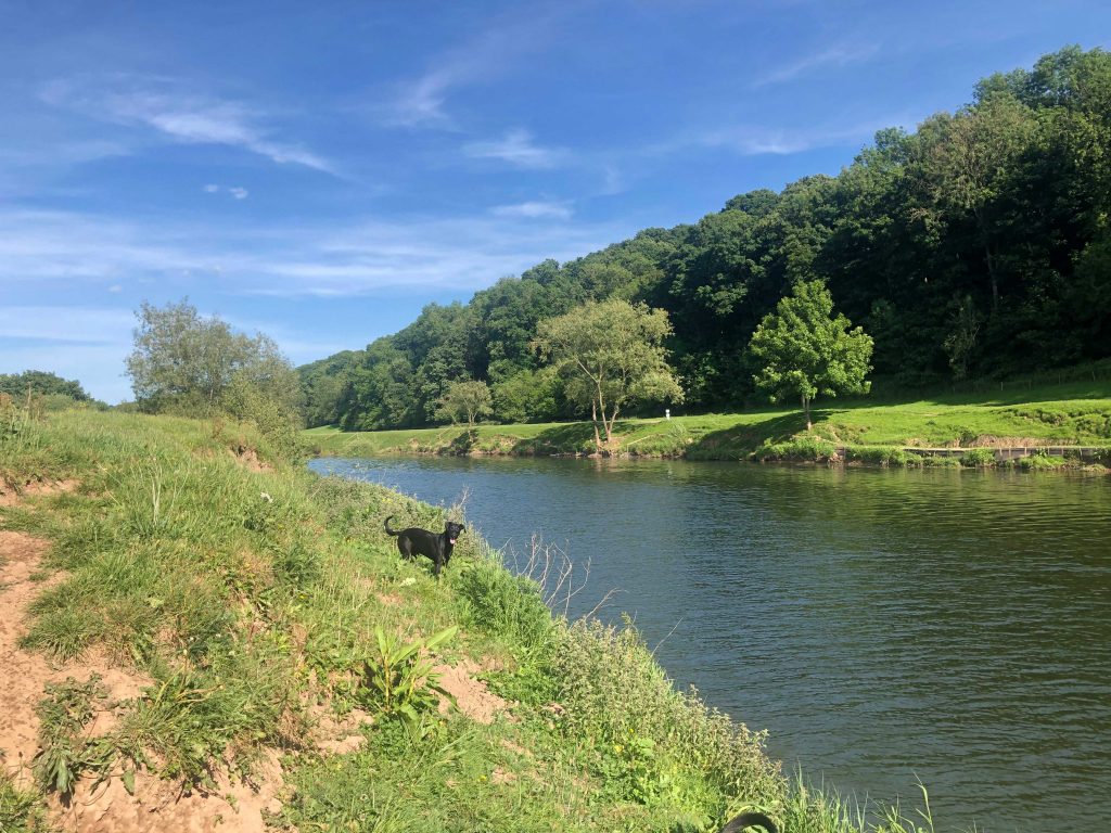 Woodland Tipi & Yurt Holidays