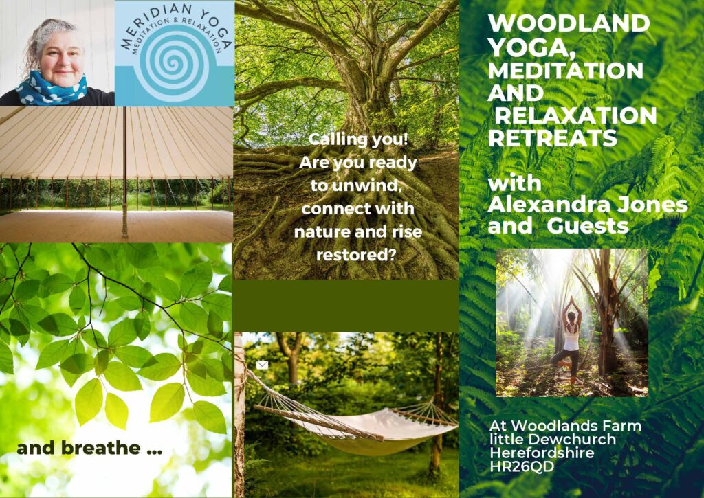 Woodland Tipi & Yurt Holidays