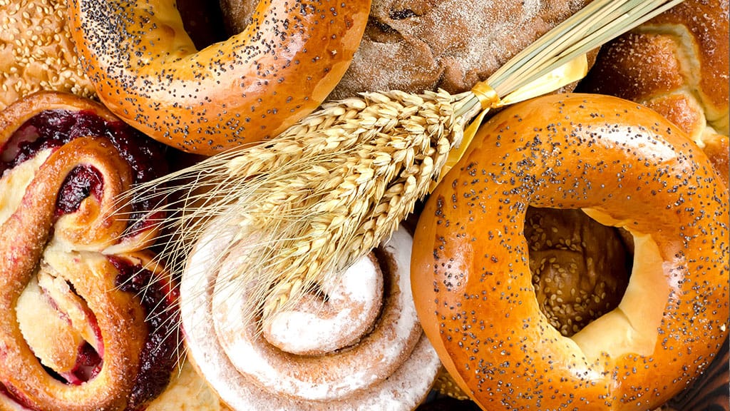 Woodland Tipi & Yurt Holidays