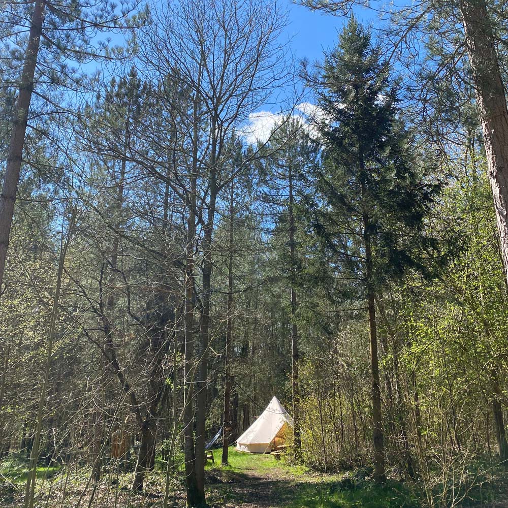 Woodland Tipi & Yurt Holidays