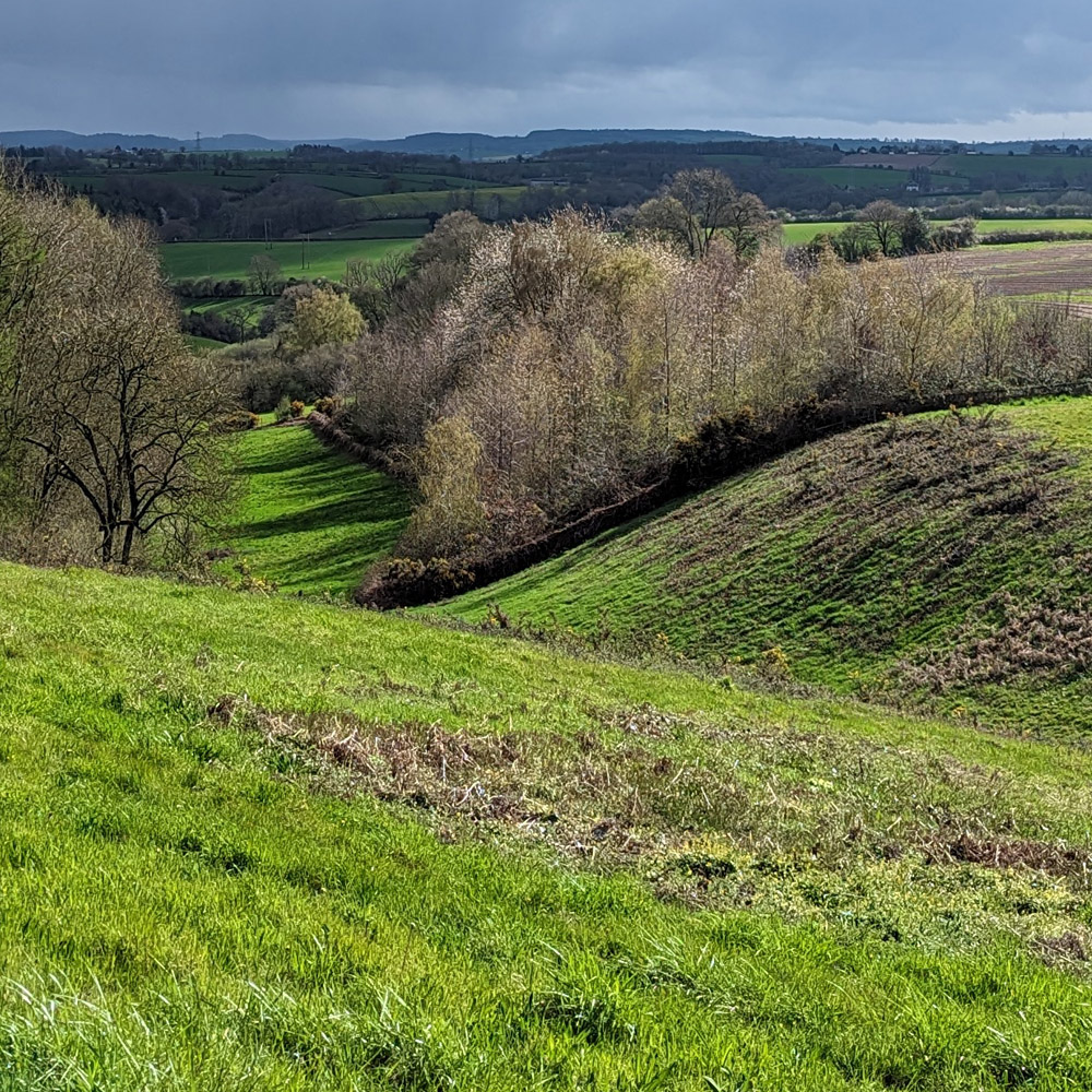 Woodland Tipi & Yurt Holidays