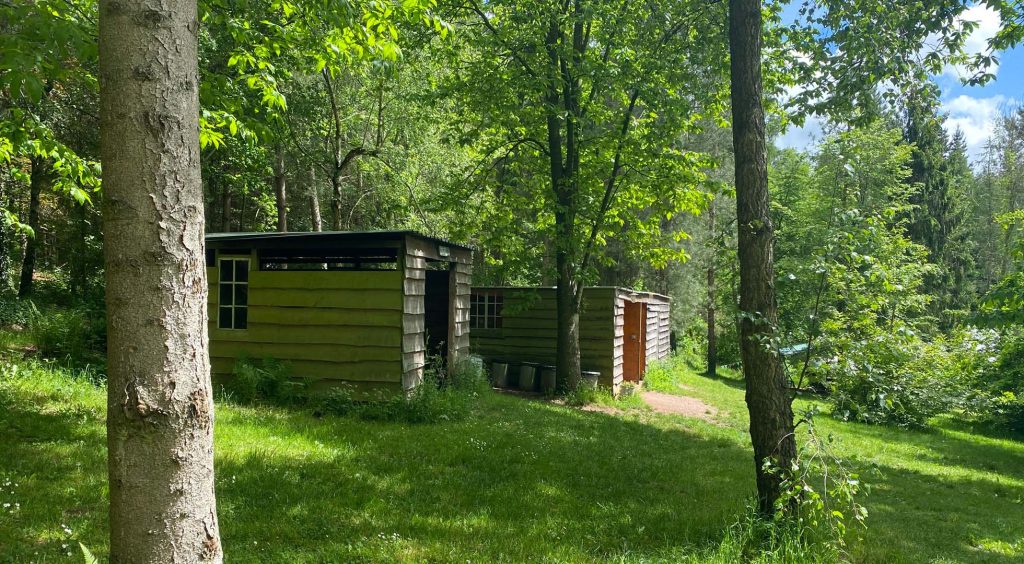 Woodland Tipi & Yurt Holidays