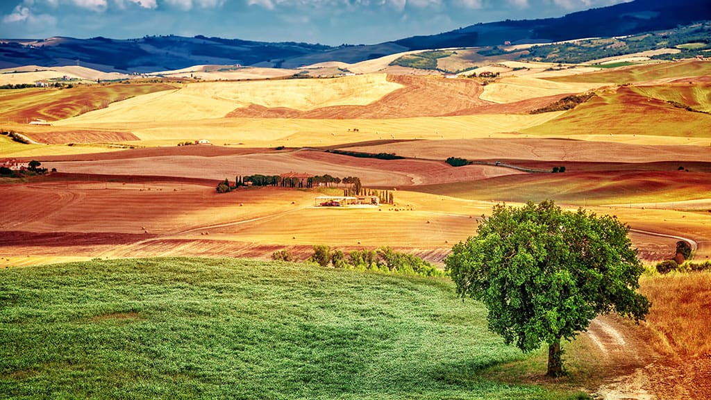 Woodland Tipi & Yurt Holidays