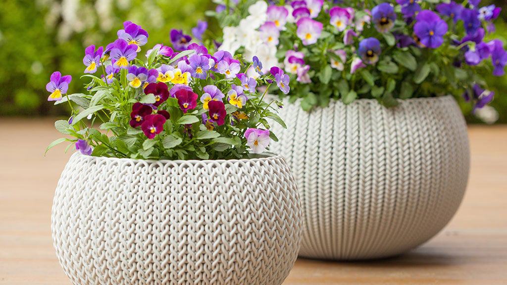 Woodland Tipi & Yurt Holidays