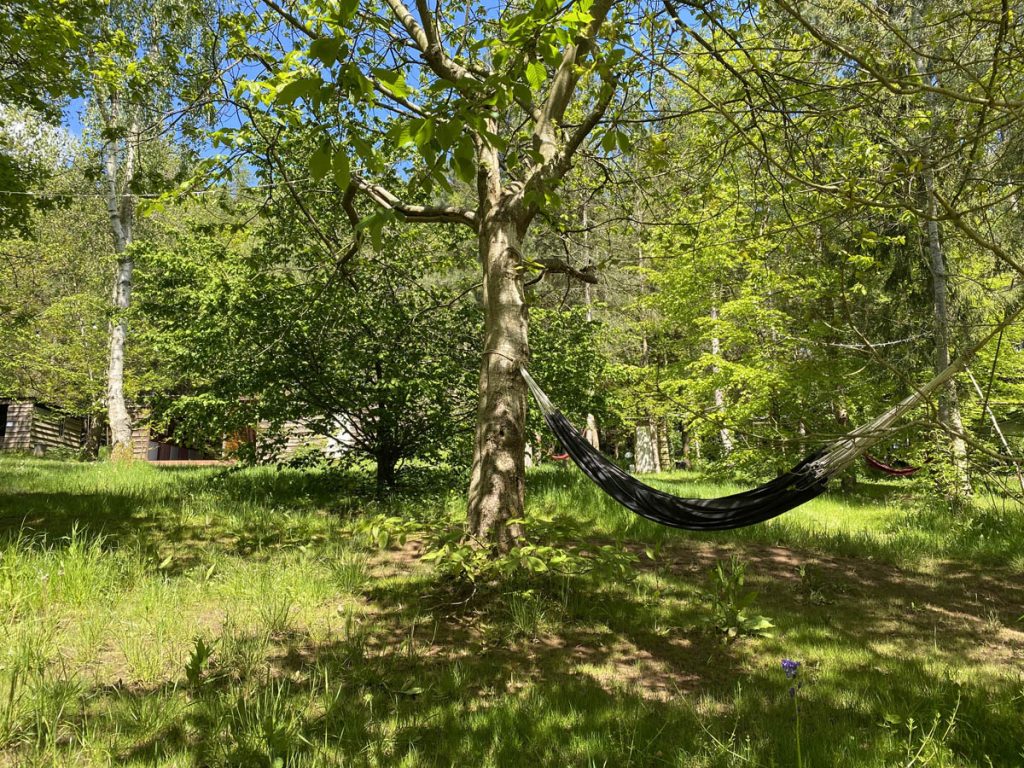 Woodland Tipi & Yurt Holidays